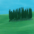 Val d'Orcia